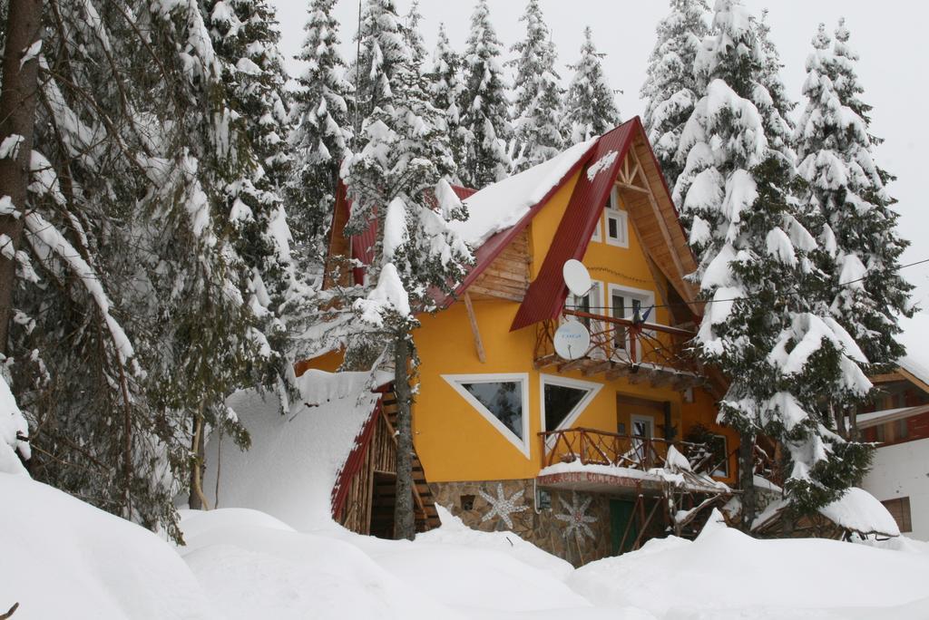 Casa Floare De Colt Villa Vártop Szoba fotó