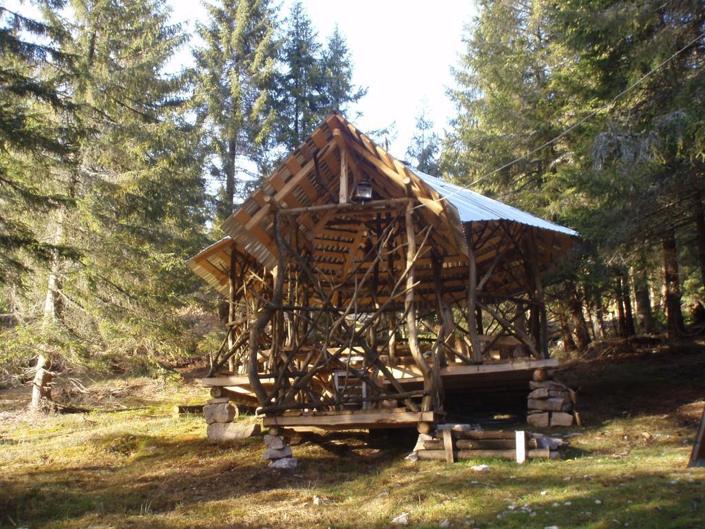 Casa Floare De Colt Villa Vártop Szoba fotó